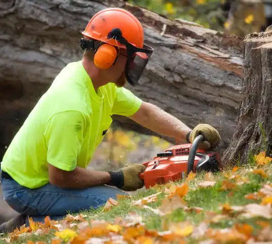 tree services Seneca